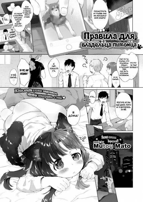 Kainushi no kokoroe (Rules of Being a Pet Owner) / Правила для владельца питомца